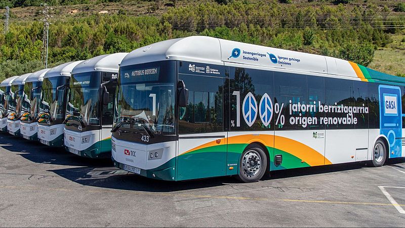 Autobuses urbanos blancos con detalles en verde y amarillo estacionados en fila, destacando el letrero lateral sobre origen 100% renovable.