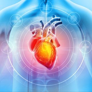 Reduce tu riesgo cardiovascular