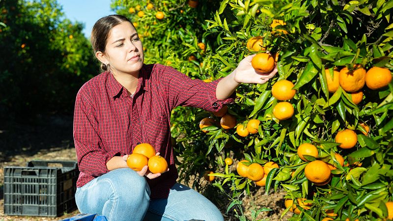 Mundo rural - Dia Internacional de las Mujeres Rurales - 16/10/26