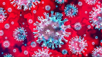 La bona not�cia sobre la Covid que esperaves sentir (i per qu� �s poc probable que l'agafis ara)