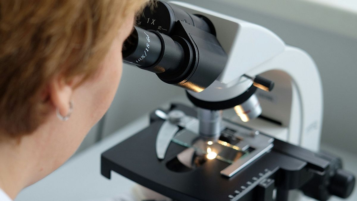 Pesquisa molecular revela desigualdade na dieta do brasileiro