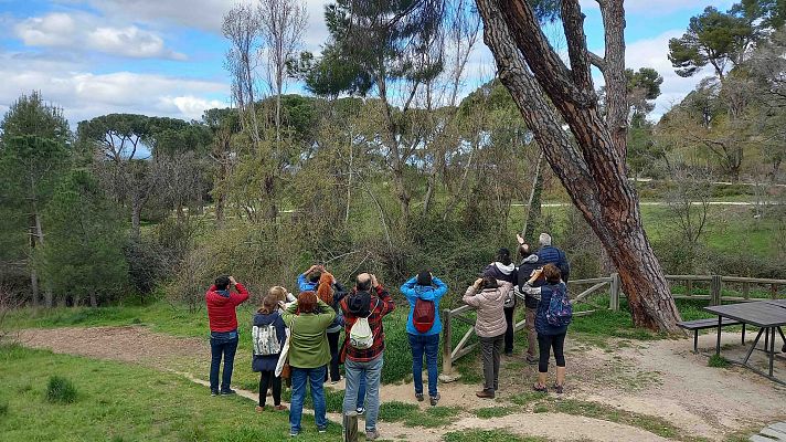 'Another Way', festival con experiencias naturales en Madrid
