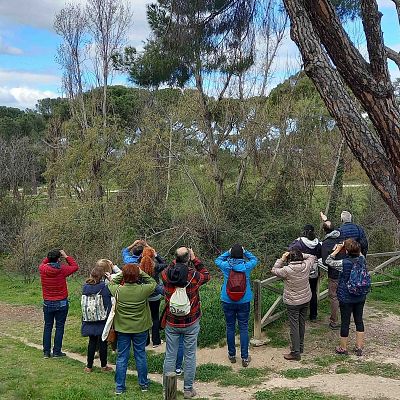 'Another Way', festival con experiencias naturales en Madrid
