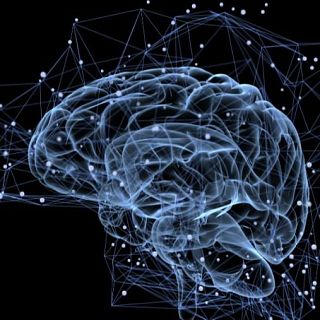 Neuromodulación, salud mental y enfermedades neurológicas