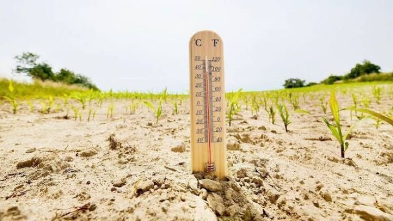 Un term�metro en un campo �rido y reseco muestra temperaturas extremas cercanas a los 45 grados Celsius, reflejando una severa sequ�a.