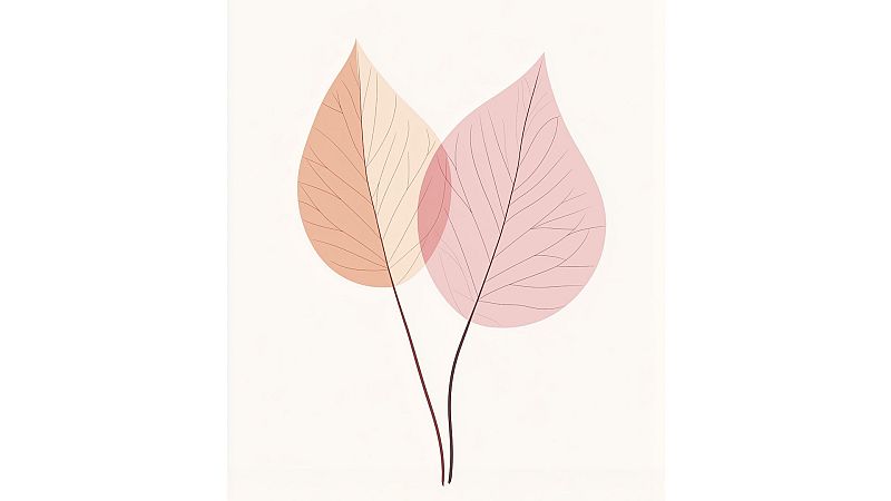 Ilustraci�n bot�nica minimalista con dos hojas estilizadas en tonos terracota y rosa palo sobre fondo claro, unidas por finos tallos.
