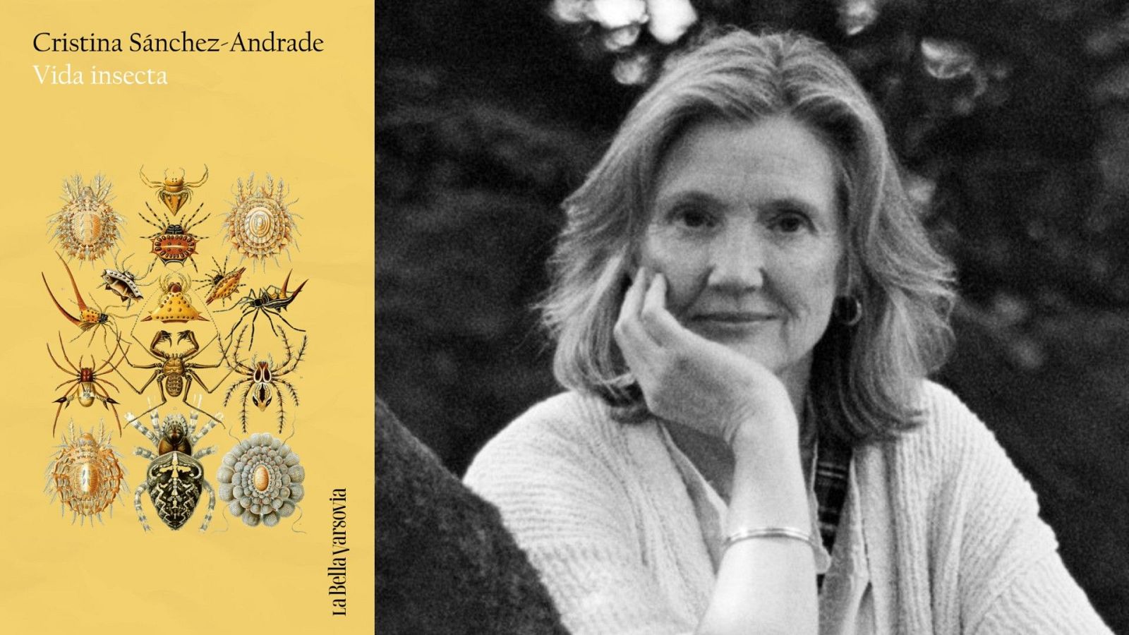 Retrato en blanco y negro de la escritora Cristina S�nchez-Andrade junto a la portada de su libro 'Vida insecta', ilustrada con ar�cnidos.