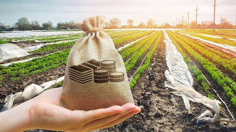 Mundo rural - PAC: pago general de los anticipos de la PAC 2026 - 19/10/26