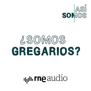 3x4. ¿Somos gregarios?