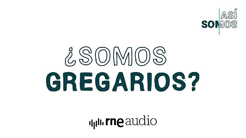 Cartela promocional con la pregunta ��SOMOS GREGARIOS?� en letras verdes sobre fondo blanco, junto al logotipo del programa y el emblema de rne audio.