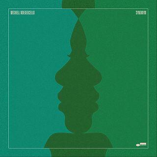 Meshell Ndegeocello, al servicio de la música
