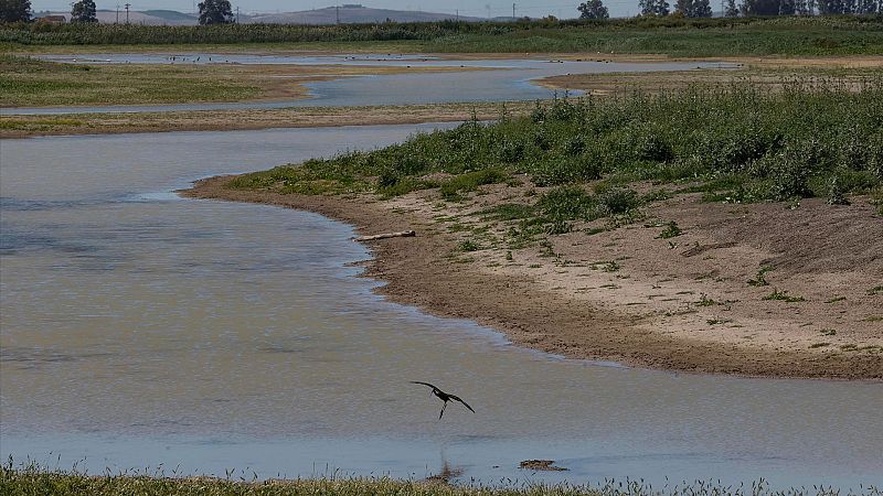 Las marismas de Cádiz retroceden 2,4 metros de media al año