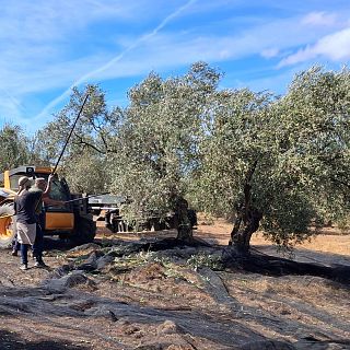 Antequera celebra un AOVE único y excepcional