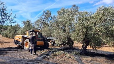 Antequera celebra un AOVE único y excepcional