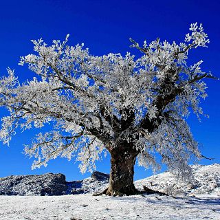 Parque Nacional de la Sierra de las Nieves