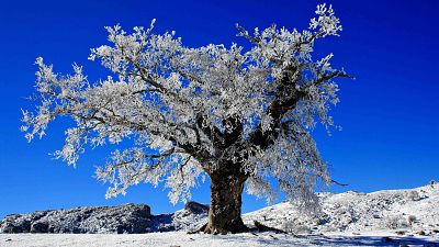 Parque Nacional de la Sierra de las Nieves
