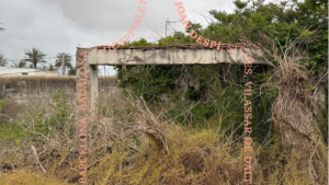 Una mirada curiosa al m�n de l'arquitectura