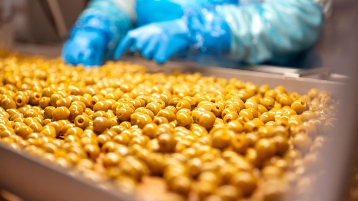 100 años de unas aceitunas que conquistan el mundo