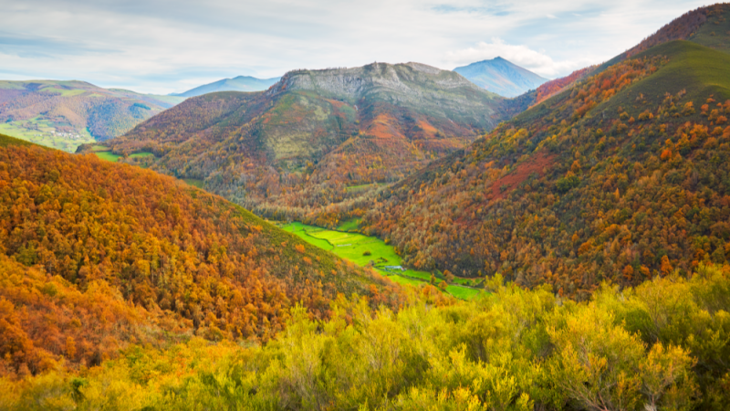 Escapadas - El otoño más espectacular - 27/10/26