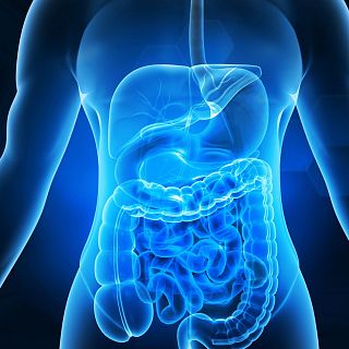 Estre�imiento: cuando el intestino necesita su tiempo