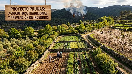 La Palma: Programa PRUNAS, mujeres por la prevenci�n de incendios