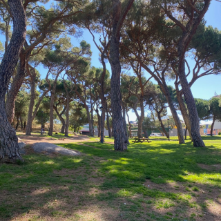 Zamora - Bosque de Valorio