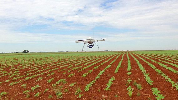 La IA i la robotitzaci� guanyen pes a la Fira Agrobiotech de Lleida