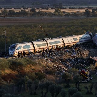 Pablo Oromí: "Tiene sentido que se analice en profundidad" el sistema ferroviario