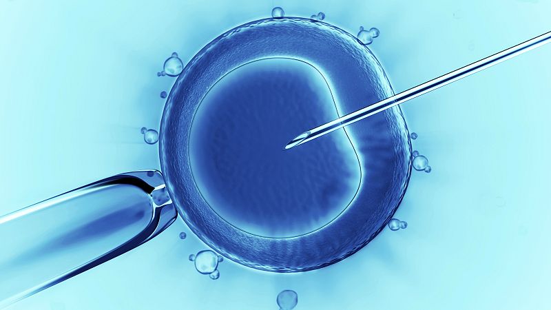 El canto del grillo - Congelación de óvulos - Escuchar ahora