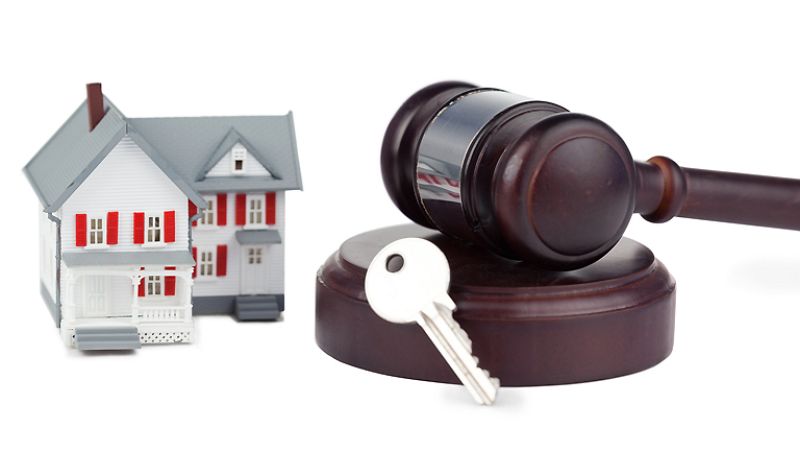 El canto del grillo - En voz alta - El drama de quedarse sin casa - Escuchar ahora