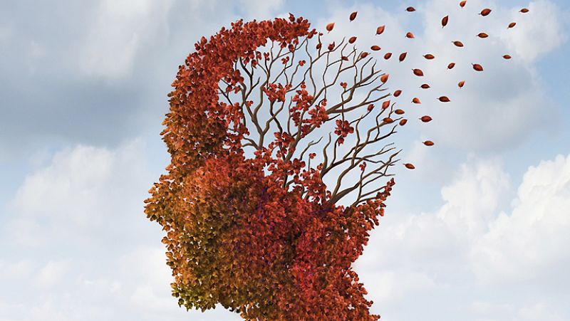 Las mañanas de RNE - Jesús Ávila de Grado, especialista en alzhéimer: "Estamos más cerca de la solución, pero no se pueden dar fechas" - Escuchar ahora