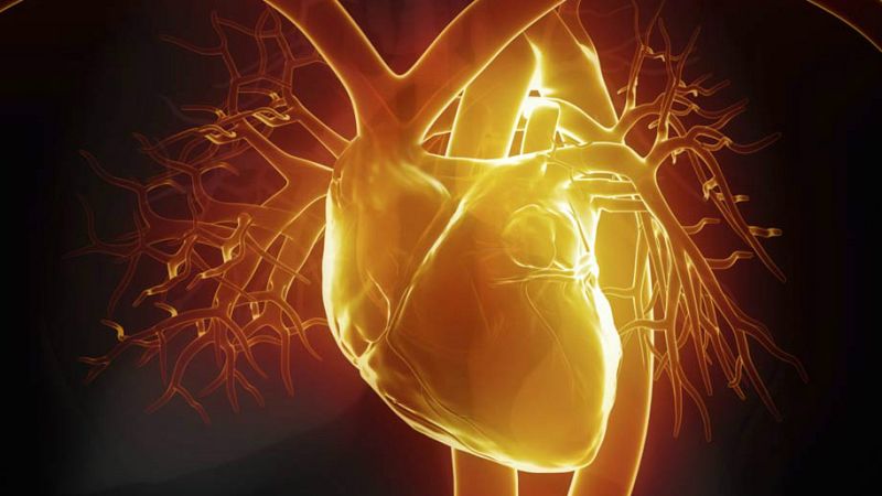 El canto del grillo - Cómo "reparar" un corazón tras un infarto - Escuchar ahora