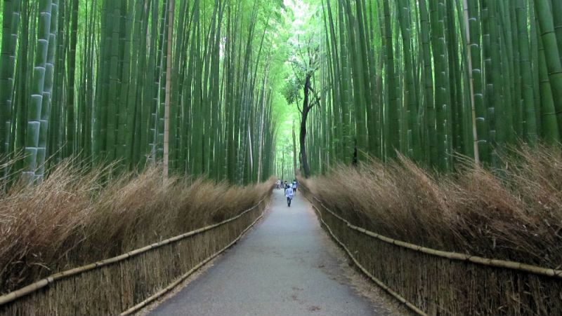 Nómadas - Kioto, florida capital cultural - 19/04/15 - escuchar ahora