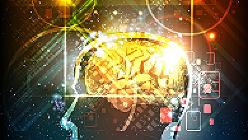 Ciencia al cubo - ¿El tamaño del cerebro importa? - 19/04/15