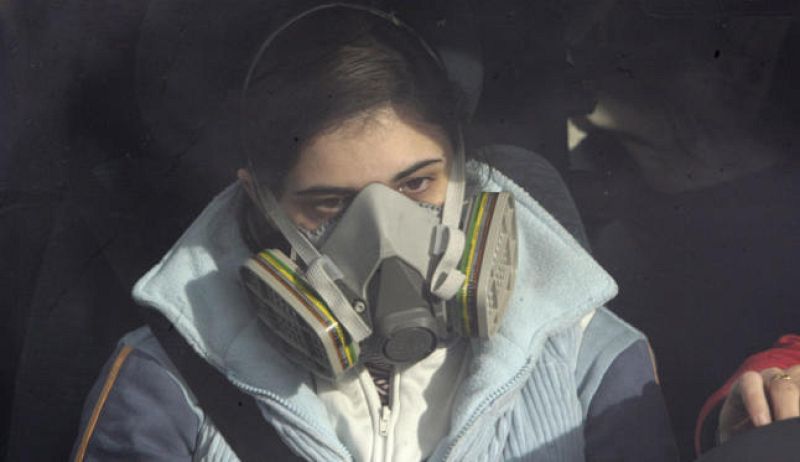 El canto del grillo - Sensibilidad química múltiple - Escuchar ahora