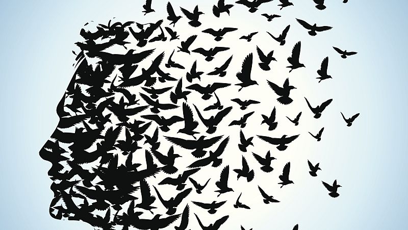 La noche en vela - La imaginación, ¿jilgueros en la cabeza? - 08/06/15 - Escuchar ahora