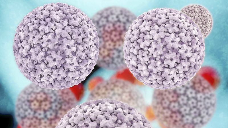 El canto del grillo - El Virus del Papiloma Humano también es cosa de hombres - Escuchar ahora