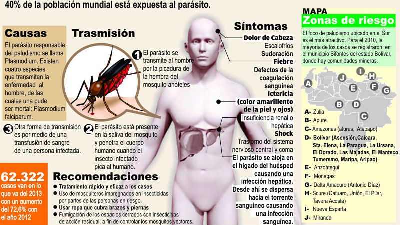 Radio 5 Actualidad - Más cerca de la erradicación de la malaria
