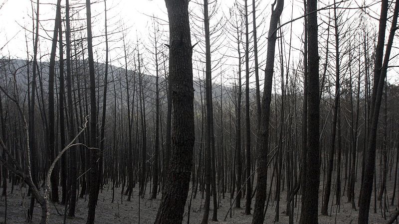 "Ligera mejoría" en las labores de extinción en Sierra de Gata