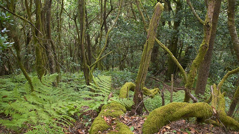 España vuelta y vuelta - La calidad medioambiental de España - Escuchar ahora