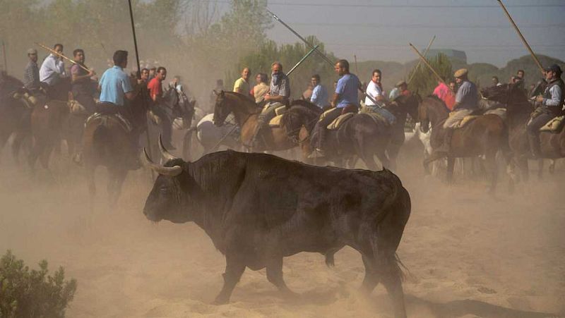 Las mañanas de RNE - Tordesillas celebra su polémico Toro de la Vega - Escuchar ahora