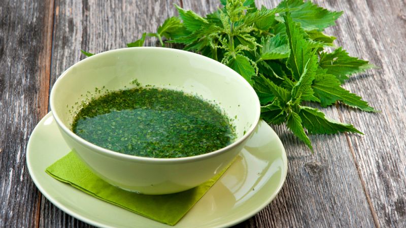 España vuelta y vuelta - Los conocimiento tradicionales relativos a la biodiversidad, reunidos en un inventario - Escuchar ahora