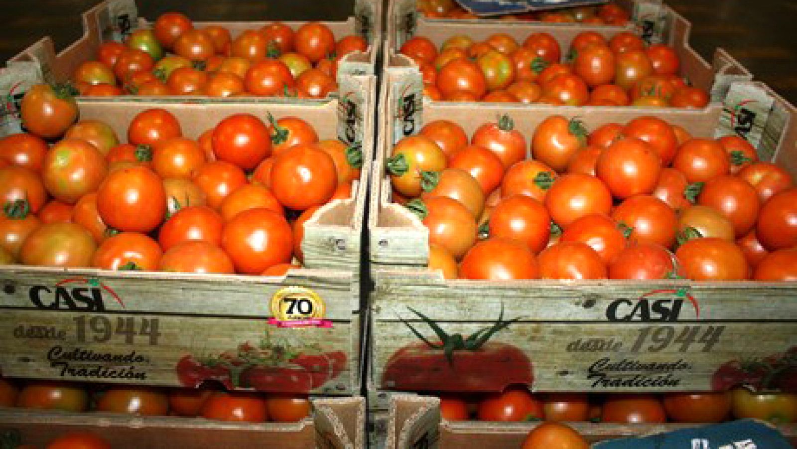 Marca España - Cooperativa CASI, tomates de Almería en toda Europa - escuchar ahora