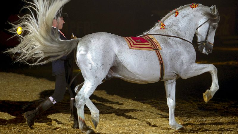 Radio 5 Actualidad - Arranca en Sevilla el Salón Internacional del Caballo - Escuchar ahora