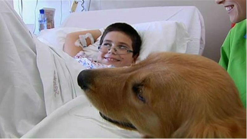 Las mañanas de RNE - Las mascotas y su poder terapéutico - Escuchar ahora