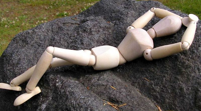 Piel adentro - La pereza - 31/01/16