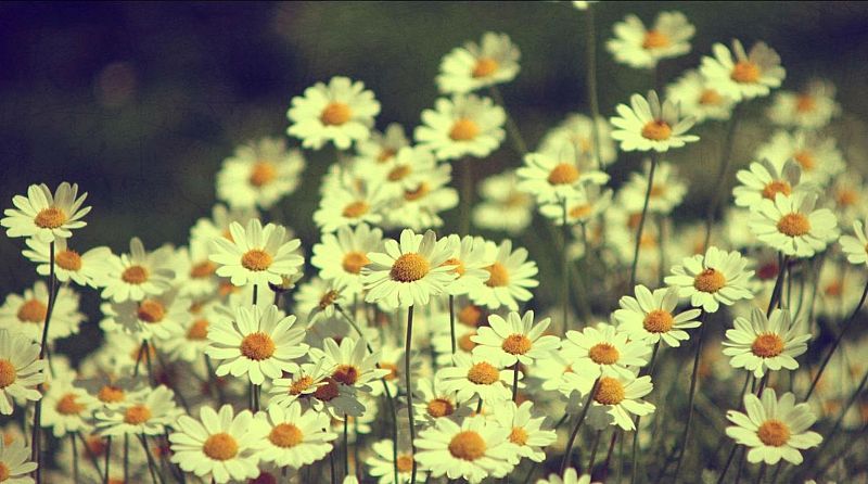 Las mañanas de RNE - La primavera es la protagonista de hoy en las remezclas musicales de Manolo Fernández - Escuchar ahora