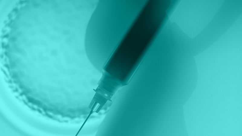 España vuelta y vuelta - España, potencia mundial en materia de reproducción asistida