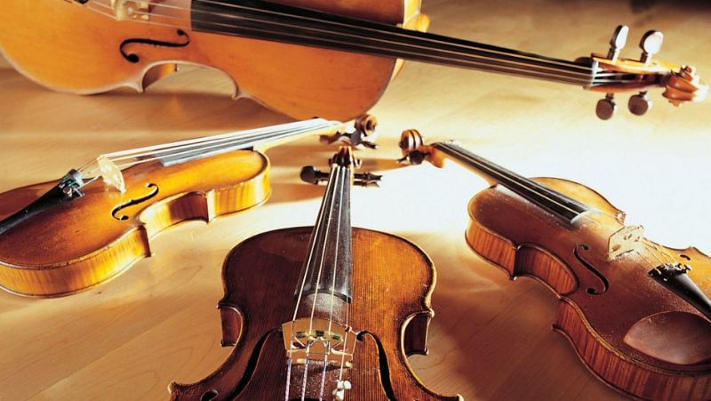 Fila cero - Semana de Música Antigua de Estella: Orquesta Barroca de Sevilla - 19/02/15