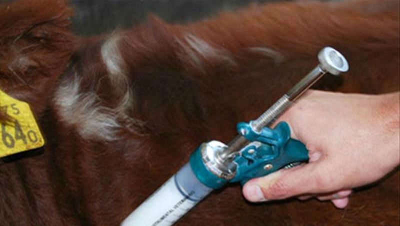 Agro 5 - Cara y cruz ganadera: vacas locas vs. tuberculosis bovina - 4/6/16 - Escuchar ahora